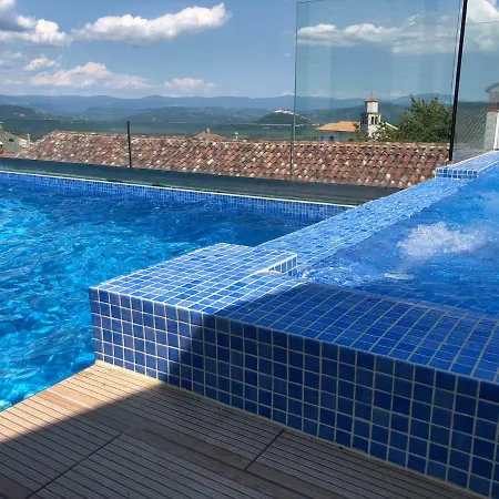 Apartment Plazza Leonardo Vižinada