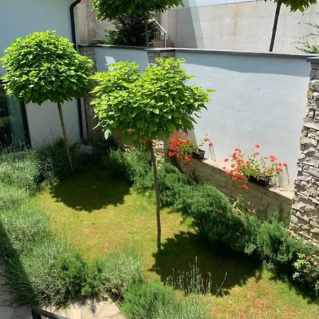 Plazza Leonardo Vižinada